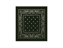 60 ���. - Paisley Cotton 55�55 ��