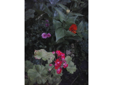 2016-07-27 20.33.50.jpg