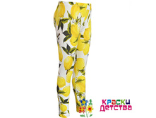 ������, �������: LV 4562, 240 ���