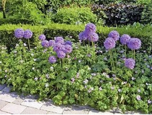 .��� � ����2.jpg