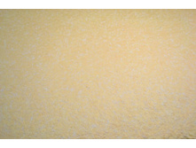 ����*��� 042.JPG