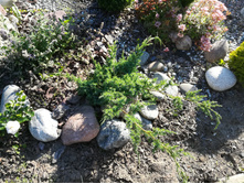 IMG 20170718 172849.jpg