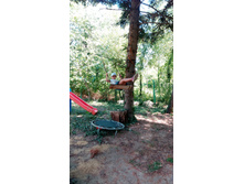 IMG 20170719 125357.jpg