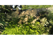 �������� ���������