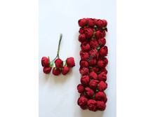 ������� ����� �� ������� ��-789 (���� �� ����� 60 ��) ��������