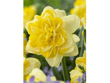 ���-���� ���-����� ��-�� ���-���-��� 68,7 ���. ��. (� �������� 3 ��.). ������ �� 40 ��. ������� ������ �� 9 ��.!!!!!!!!!!!!!! ��������.jpg