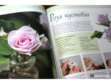 ���������� �����. �������. ������. �������.2.jpg