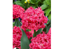 �������� �������� ������ ����-���� 153,3 ���. ��. (� �������� 7 ��.). ������ �� 45 ��. ������� ������ �� 12 ��..jpg