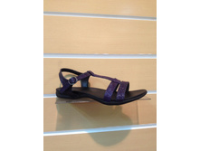 509 �������� ���-�