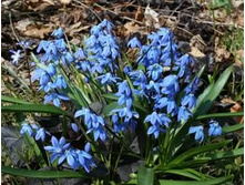 .�������� ���. ����.jpg