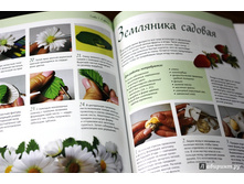 ���������� �����. �������. ������. �������.3.jpg