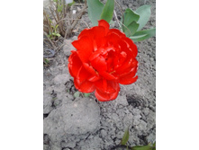 2017-05-16 17.39.35.jpg