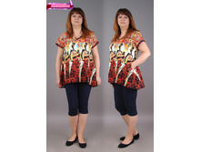 ���0096, 450���, 50-60��.