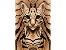 �������� ����� 27�38 Ag 6025.jpg