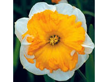 ���-����� ��������� ���-����� 69 ���. ��. (� �������� 3 ��.). ������ �� 35 ��. ������� ������� �� 10 ��.!!!!!!!!!!!!!! ��������.jpg