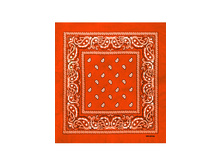 60 ���. - Paisley Cotton 55�55 ��