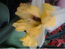 2016-04-16 16.52.57.jpg