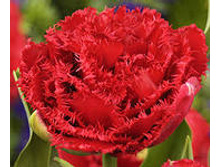 �������� �������� ������ ��-�� ��-�� 195,3 ���. ��. (� �������� 7 ��.). ������ �� 45 ��. ������� ������ �� 12 ��..jpg