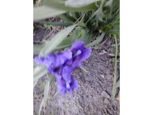 2017-05-22 18.06.17.jpg