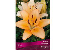 ����� �����-�� 115 ���. ��. (� �������� 5 ��.). ������ �� 1100 ��. ������� ������� �� 20 ��. �������� ������!!!!!!!!!!!!!!!!.jpg