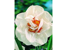 ���-���� ���-����� ���-������ 65,7 ���. ��. (� �������� 3 ��.). ������ �� 40 ��. ������� ������ �� 10 ��.!!!!!!!!!!!!!! ��������.jpg