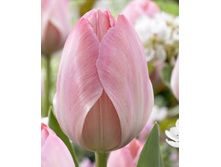 �������� ��������� ������� ��-���� ��-� ��-� 90,3 ���. ��. (� �������� 7 ��.). ������ �� 60 ��. ������� ������ �� 12 ��. .jpg