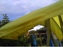 IMG 20170722 173521.jpg