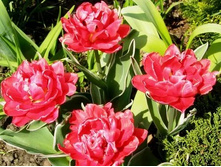 �������� �������� ������ ���-���� ���-�� ���. ����2..jpg