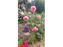 20170722 095921.jpg
