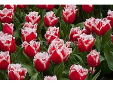 �������� ����������� �-�� ��-��� ���. ����2.jpg