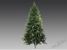 ���  "������ ������"