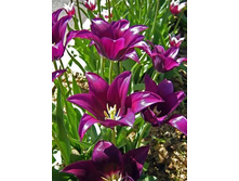 �������� ������������ ���-����� ���. ����2. .jpg