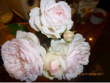 Stephanie Baronin zu Guttenberg