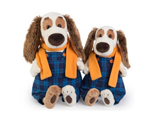 ���������� � ����� �����������