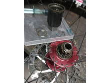 IMG 20170704 132737.jpg