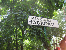 IMG 3820.JPG