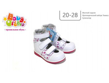 �������������� �������� � �������� �����. ������ ������,  1795�