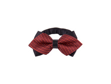 145 ���. - ������ ��� �����