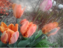 2016-05-04 18.09.20.jpg