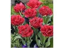 �������� �������� ������ ��-�� ��-�� ���. ����..jpg