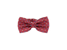 145 ���. - ���������� ��������