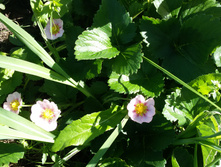 �������� �� ����� �����