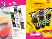 Cat-11-2017-01 12.jpg