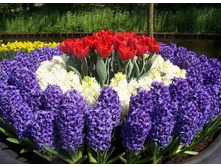 �������� � ����������2.jpg