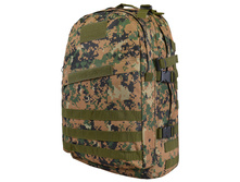 995 ���. - ������ 46�18�33 ��