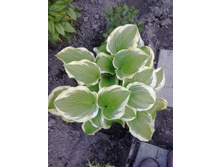 2017-06-09 20.05.30.jpg