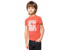 438f9643-a531-11e6-b109-00259002479e face.jpeg