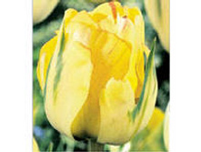 �������� �������� ������� ���-���� 139,3 ���. ��. (� �������� 7 ��.). ������ �� 50 ��. ������� ������ �� 10 ��..jpg