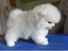 ���.����� 004.JPG