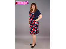 �0066, 320���, 50-60��.